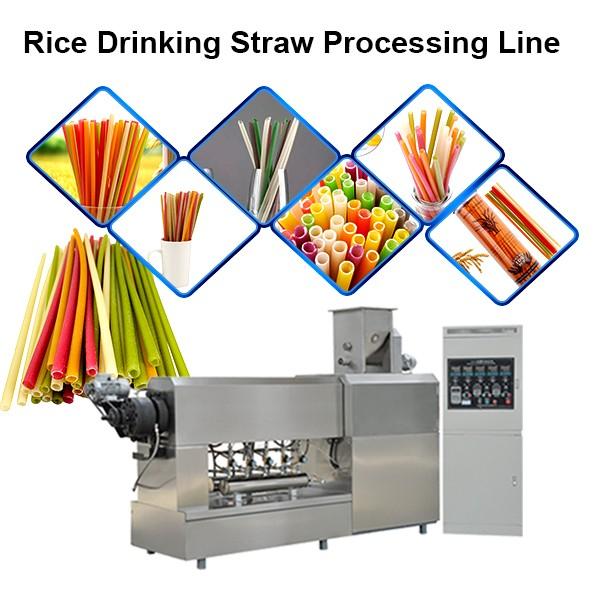 Natural Rice Straw Machine Degradable Straw Maker #1 image