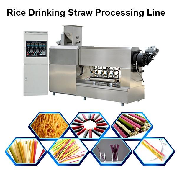 Automatic Pasta Rice Straws Machine #1 image
