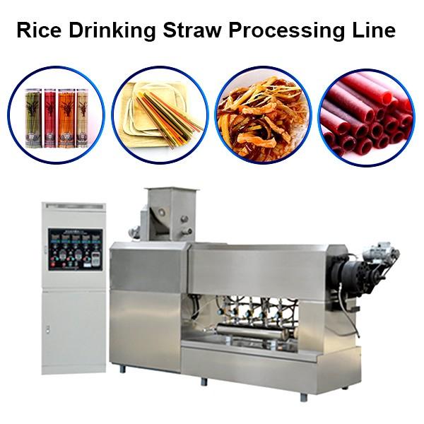Stainless Steel Full Automatic Degradable Straw Machine Rice Straw Machine in Vn #1 image