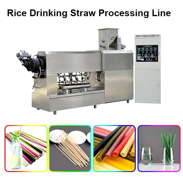 New Material Edible Straws Biodegradable Rice Tapioca Straw Making Machine #1 image