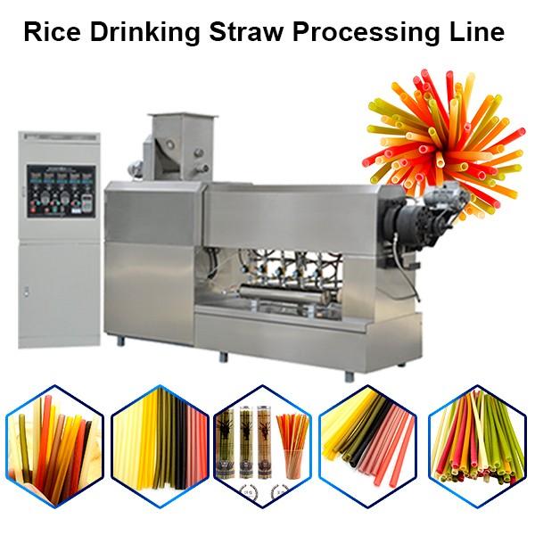 Hot Sale Health Rice Straw Drink Straw Food Making Machine #1 image