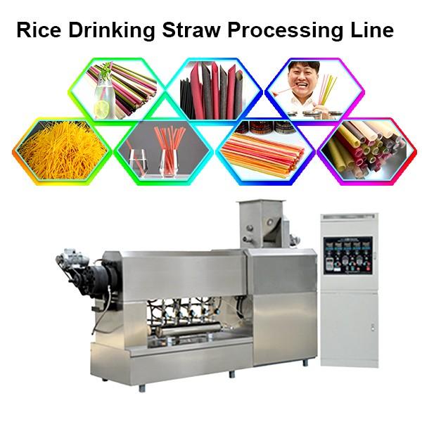 China Degradable Drinking Straw Food Production Making Processing Machines #1 image