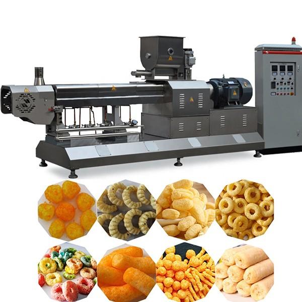 Twin Screw Extruder for Corn Flakes /Cereal Snacks Food Machinery Made in China #1 image