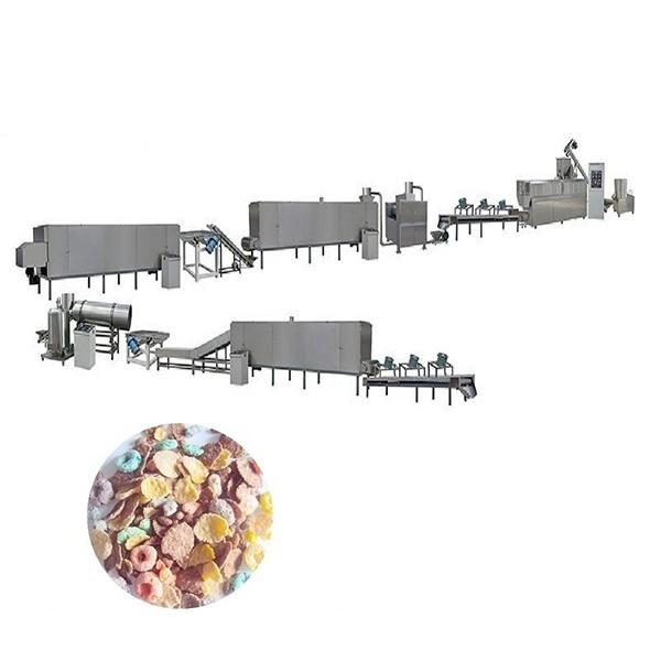 Expanded Breakfast Cereals Corn Flakes Manufacturing Machinery #1 image