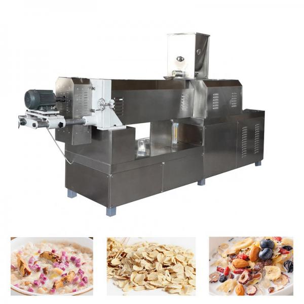 Corn Flakes Production Line Manufacturing #1 image