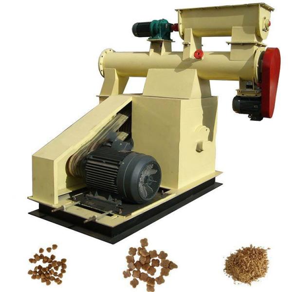 Fish feed pellet making machine #1 image