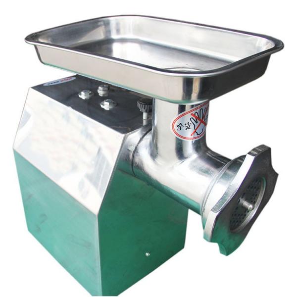 Professional Stainless Steel Meat Grinder Sanitary Meat Crusher #1 image
