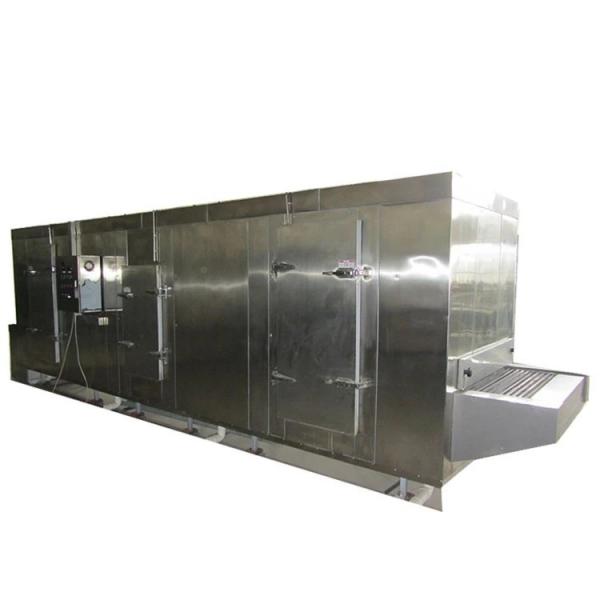 Industrial Fruit Drying Cassava Vegetable Food Meat Processing Vacuum Freeze Dryer Machine #1 image
