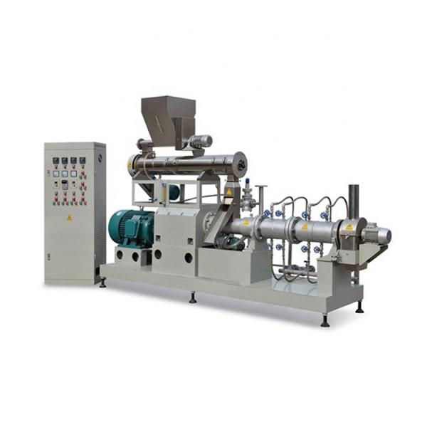 Small Fruit Dryer/Pet/Honey/Food/Chicken Freeze Drying Processing Equipment #1 image