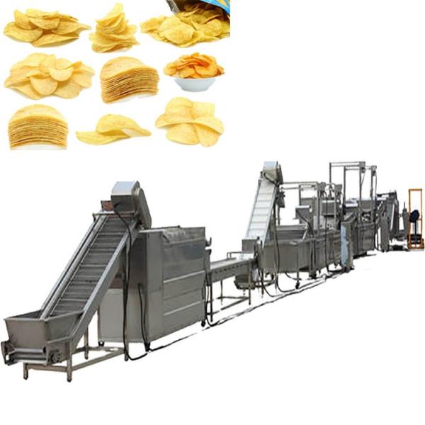 Automatic Kitchen Equipment Commercial Gas Frying Machine for Potato Chips Nuts Beans #3 image