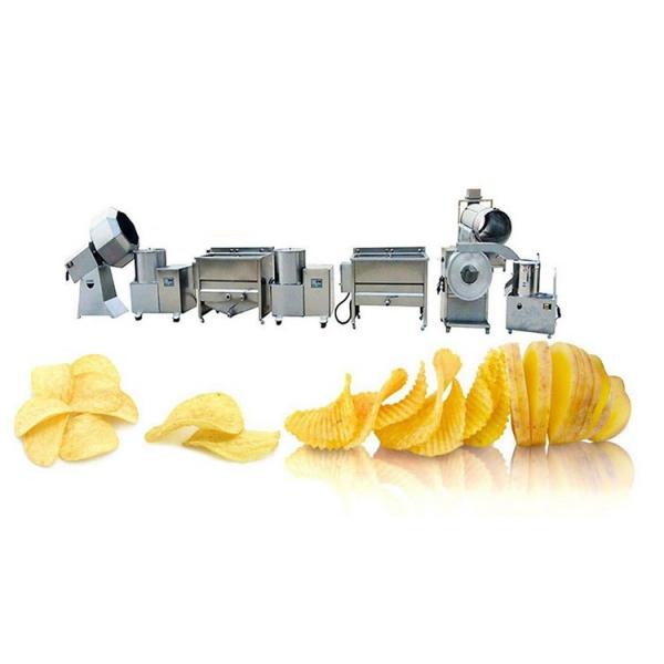 Commercial Automatic Fried Potato Chips Processing Machine #1 image